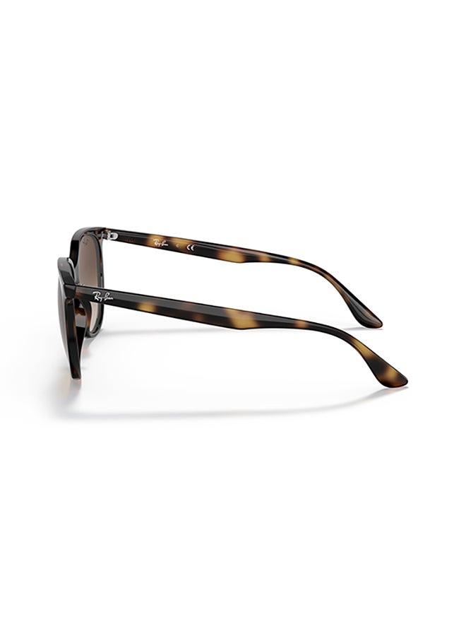 راي بان Women's Ray Ban Woman Square  Sunglasses - Rb4378 - Lense Size:54Mm - Havana - Image 4