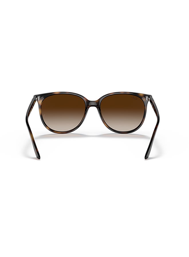 راي بان Women's Ray Ban Woman Square  Sunglasses - Rb4378 - Lense Size:54Mm - Havana - Image 3