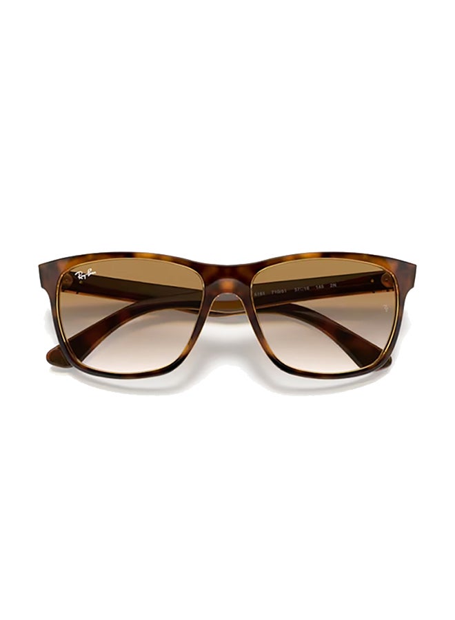 Men's Ray Ban Man Square Rb4181 Sunglasses - Rb4181 - Lense Size:57Mm - Light Havana