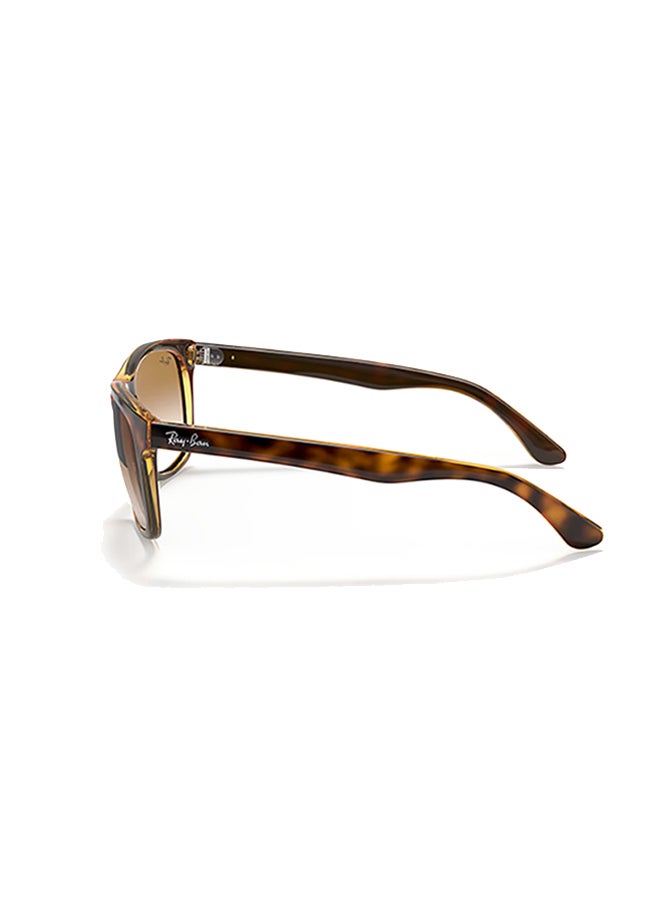 Men's Ray Ban Man Square Rb4181 Sunglasses - Rb4181 - Lense Size:57Mm - Light Havana