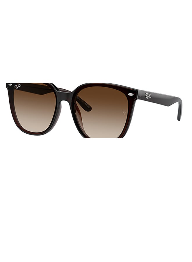 Ray-Ban Ray Ban Unisex Irregular  Sunglasses - Rb4423D - Lense Size:66Mm - Transparent Brown - Image 1