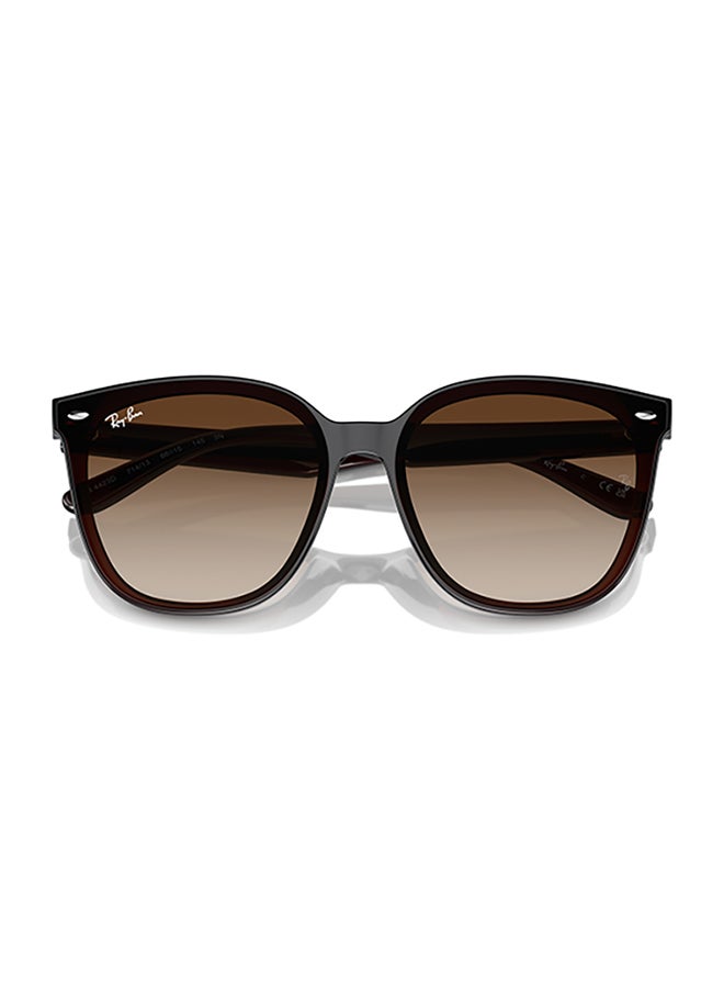 Ray-Ban Ray Ban Unisex Irregular  Sunglasses - Rb4423D - Lense Size:66Mm - Transparent Brown - Image 4