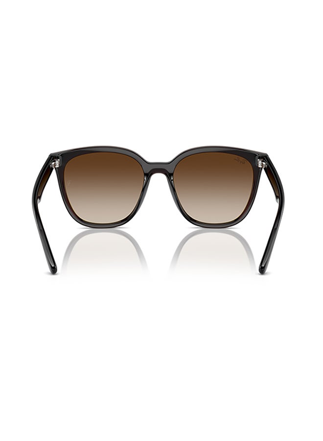 Ray-Ban Ray Ban Unisex Irregular  Sunglasses - Rb4423D - Lense Size:66Mm - Transparent Brown - Image 5