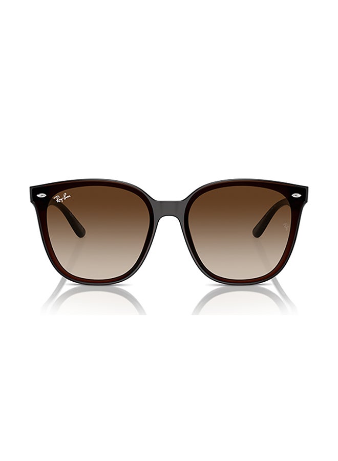 Ray-Ban Ray Ban Unisex Irregular  Sunglasses - Rb4423D - Lense Size:66Mm - Transparent Brown - Image 2