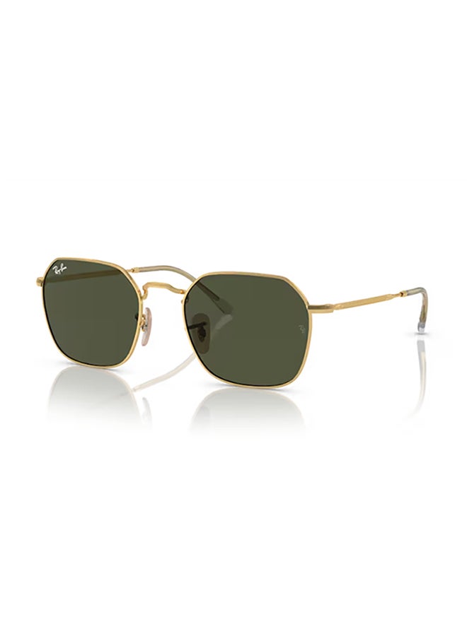 Ray-Ban Ray Ban Unisex Irregular Jim Sunglasses - Rb3694 - Lense Size:55Mm - Arista - Image 3