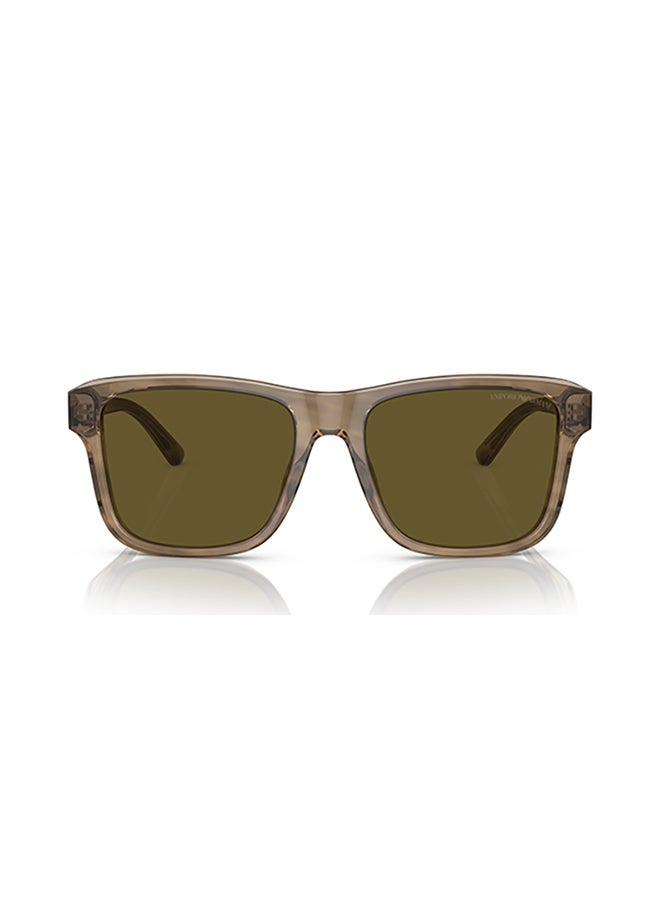 امبوريو ارماني نظارات شمسية من إمبوريو أرماني للرجال - Ea4208 - حجم العدسة: 56 مم - أخضر لامع/بني علوي - Image 2