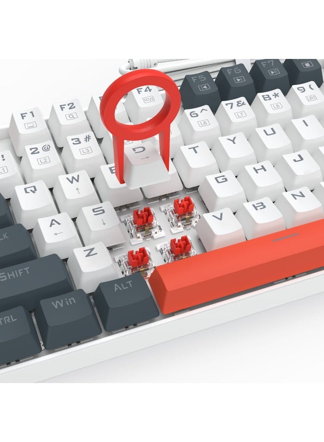 REDRAGON - K683 WBO FIDD  edition , 8K RGB Wired Rapid Trigger  Keyboard Mechanical Gaming Keyboard with customizable adjustable magnetic switches Portable design with 60% optimized layout & detachable USB-C cable , 40 levels per key actuation, ultra-fast movements, Compact Mechanical Keyboard Dedicated Arrow Keys, for PC and laptop use in home and office - Magnetic Switch - Image 1