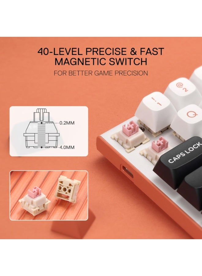 REDRAGON - K683 WBO FIDD  edition , 8K RGB Wired Rapid Trigger  Keyboard Mechanical Gaming Keyboard with customizable adjustable magnetic switches Portable design with 60% optimized layout & detachable USB-C cable , 40 levels per key actuation, ultra-fast movements, Compact Mechanical Keyboard Dedicated Arrow Keys, for PC and laptop use in home and office - Magnetic Switch - Image 1