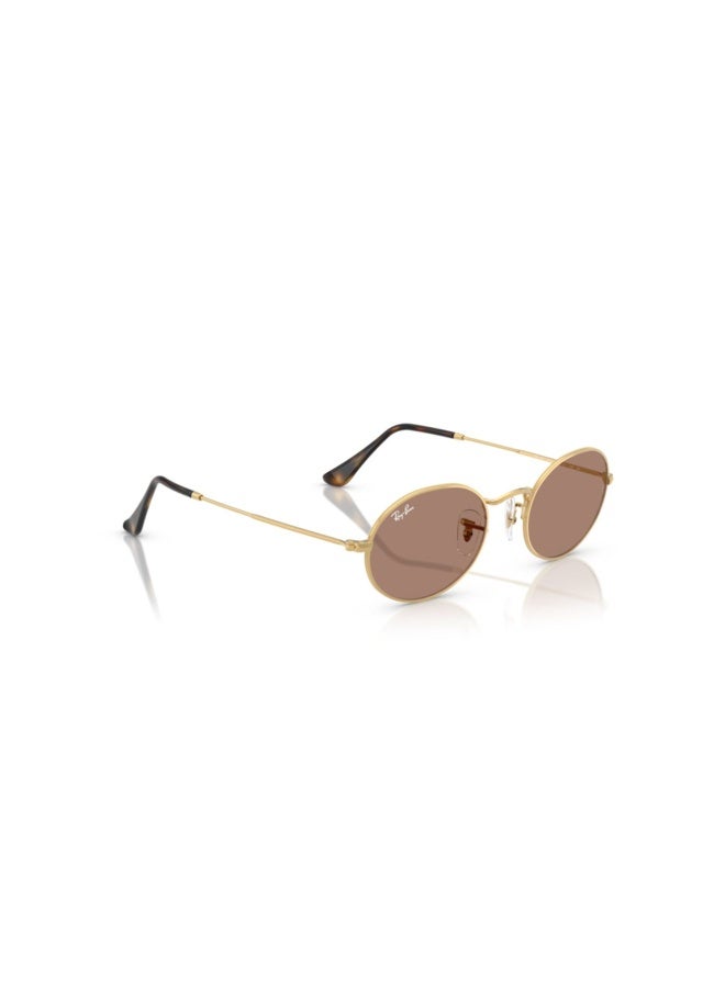 راي بان Unisex OVAL  SUNGLASSES- RB 3547 - lense size:51mm - ARISTA  - Image 4