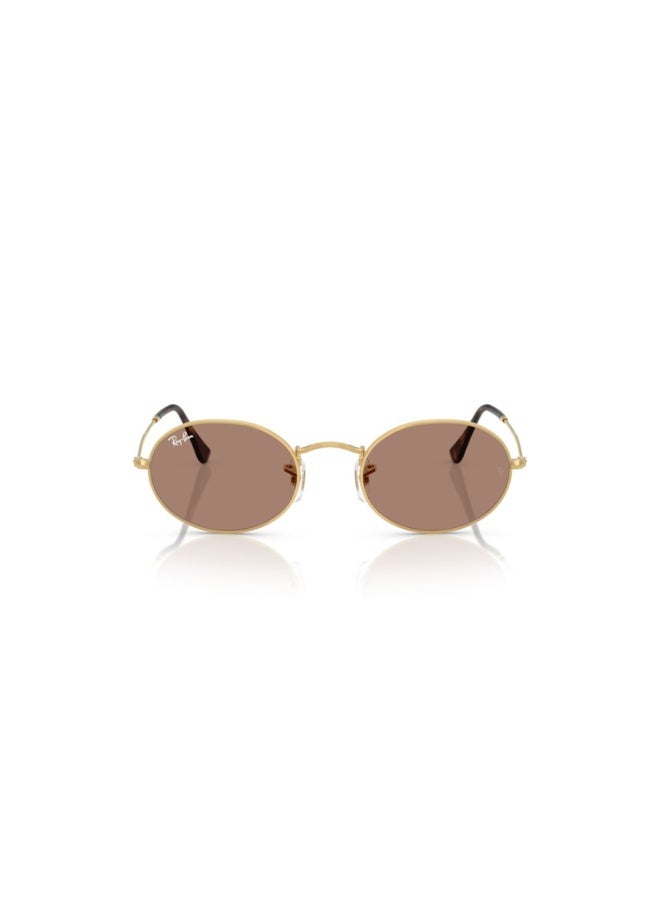 راي بان Unisex OVAL  SUNGLASSES- RB 3547 - lense size:51mm - ARISTA  - Image 5