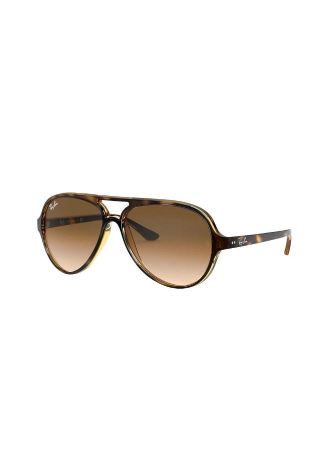 راي بان Men's Man PILOT CATS 5000 SUNGLASSES- RB 4125 - lense size:59mm - LIGHT HAVANA - Image 1