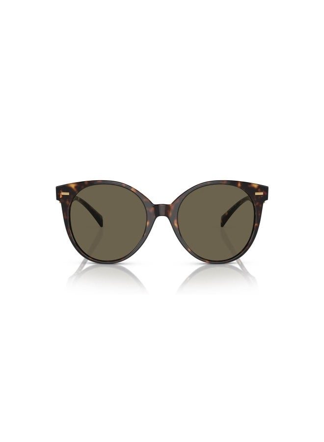 VERSACE Women's Woman ROUND  SUNGLASSES- VE 4442 - lense size:55mm - HAVANA - Image 2
