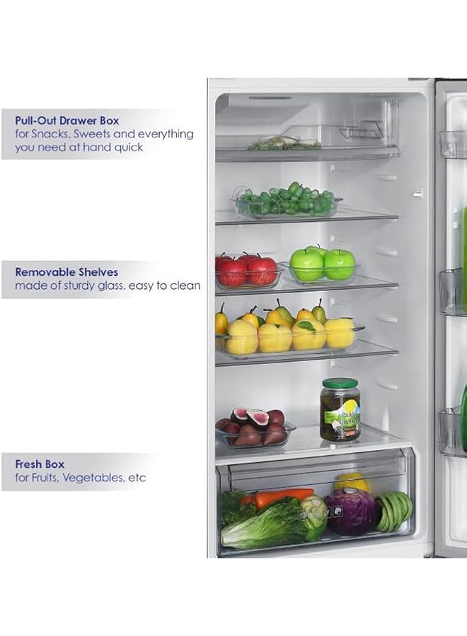 SUPER GENERAL 510L Gross & 415L Net Capacity Double Door Top-Mount Refrigerator-Freezer, No Frost, Glass Shelves (Tempered), Quiet Operation SGR515IE Inox  - Image 4