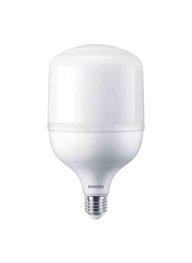 فيليبس TFORCE Core HB 40W E27 865 GN3 LED Industrial and Retail Blub Cool Daylight 10.5 x 10.5 x 22.5cm  - Image 1