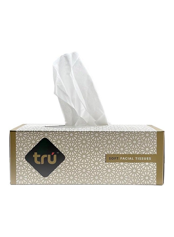 Facial Tissue 200 Pulls X 5 Box white