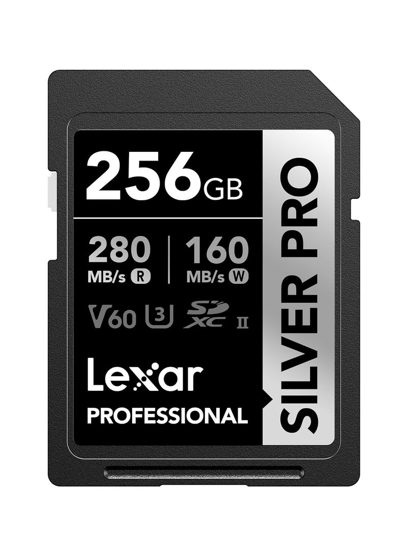 Lexar LEXAR PROFESSIONAL 256GB SILVER PRO SDXC UHS-II CARD, UP TO 280MB/S READ, 160MB/S WRITE,C10 U3 V60 (LSDSIPR256G-BNNNG) 256 GB  - Image 1