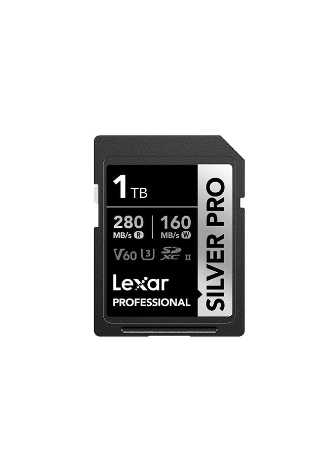 Lexar Lexar 1TB Professional Silver PRO SDXC Memory Card, UHS-II, C10, U3, V60, Full-HD & 4K Video, Up to 280MB/s Read, For Professional Photographer, Videographer, Enthusiast (LSDSIPR001T-BNNNG) 1 TB  - Image 1