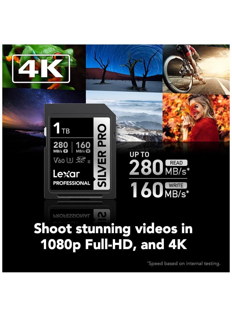 Lexar Lexar 1TB Professional Silver PRO SDXC Memory Card, UHS-II, C10, U3, V60, Full-HD & 4K Video, Up to 280MB/s Read, For Professional Photographer, Videographer, Enthusiast (LSDSIPR001T-BNNNG) 1 TB  - Image 3