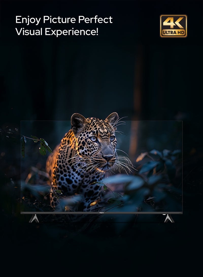 إمبكس 55 Inch 4K UHD Smart LED TV | WebOS | Magic Remote | Dolby Audio | ThinQ AI | Apple AirPlay & Home | Netflix, Prime Video, YouTube | A+ Grade Panel | Super Slim | 2x USB, 3 HDMI FIESTA 55 black  - Image 3