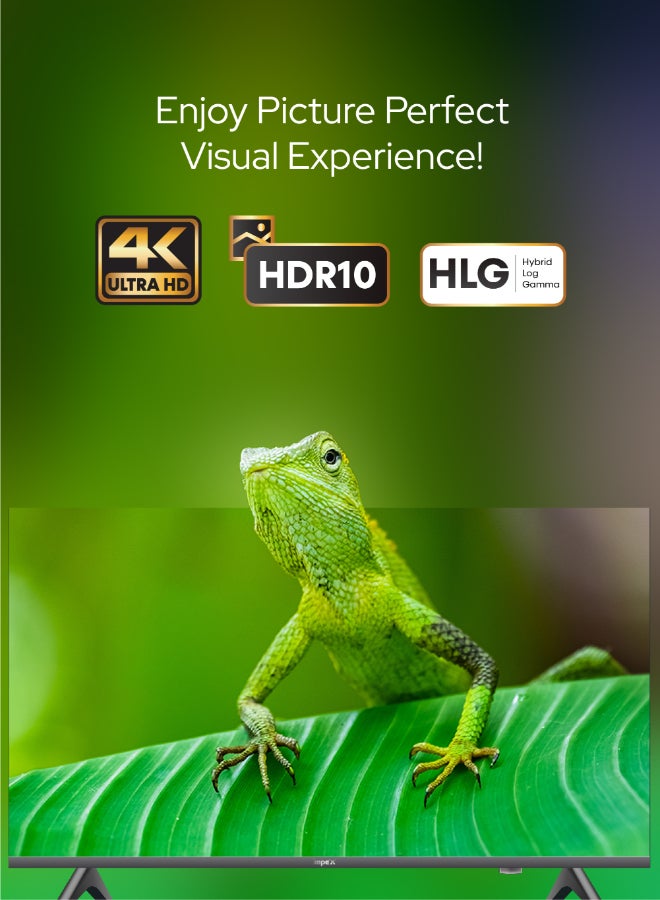 Impex 65 Inch 4K UHD Smart LED TV | WebOS | Dolby Audio | Magic Remote | ThinQ AI | Apple AirPlay & Home | Netflix, YouTube, Prime Video | A+ Grade Panel | Super Slim | 2x USB, 3x HDMI FIESTA 65 black - Image 3