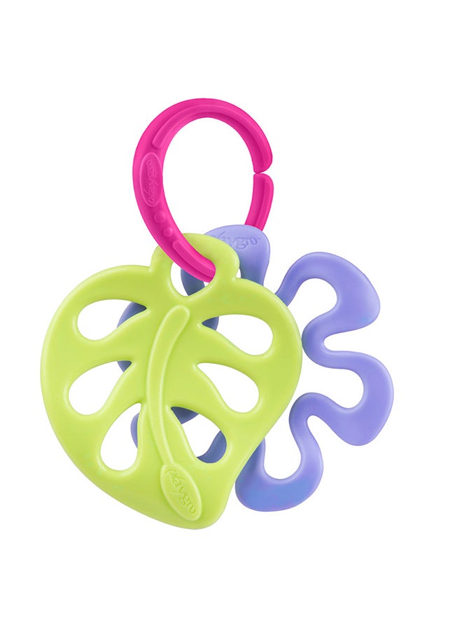 بلاي غرو مجموعة عضاضات الطبيعة، أشكال مستوحاة من الحديقة، ملمس لتخفيف الألم، مهدئ للثة، سهل التنظيف، من 3 أشهر، للجنسين، متعدد الألوان - Image 4