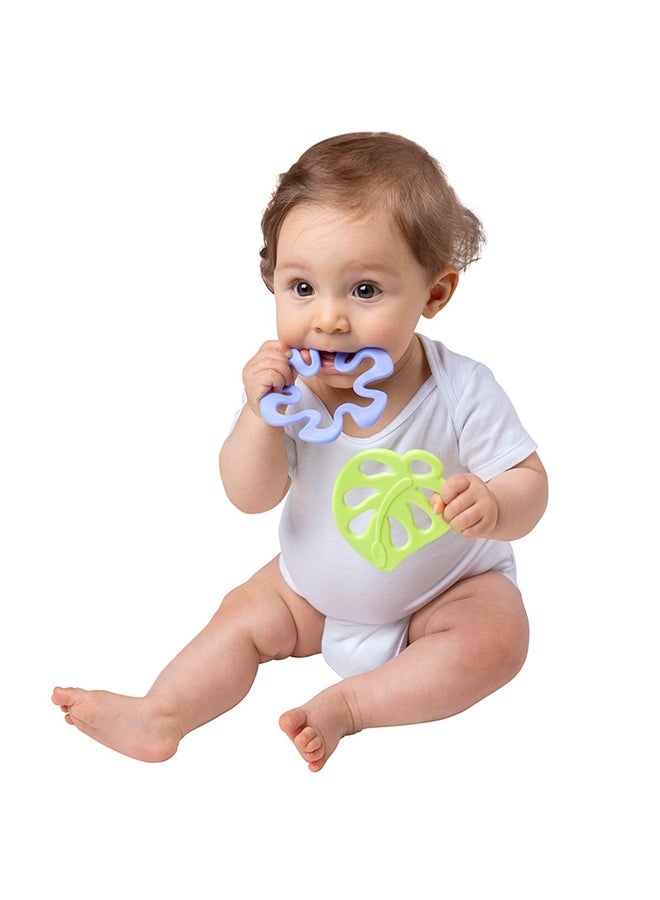 بلاي غرو مجموعة عضاضات الطبيعة، أشكال مستوحاة من الحديقة، ملمس لتخفيف الألم، مهدئ للثة، سهل التنظيف، من 3 أشهر، للجنسين، متعدد الألوان - Image 5