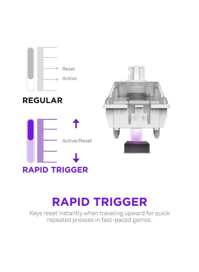 ان زد اكس تي Function Elite Mini Tklblack - Image 5