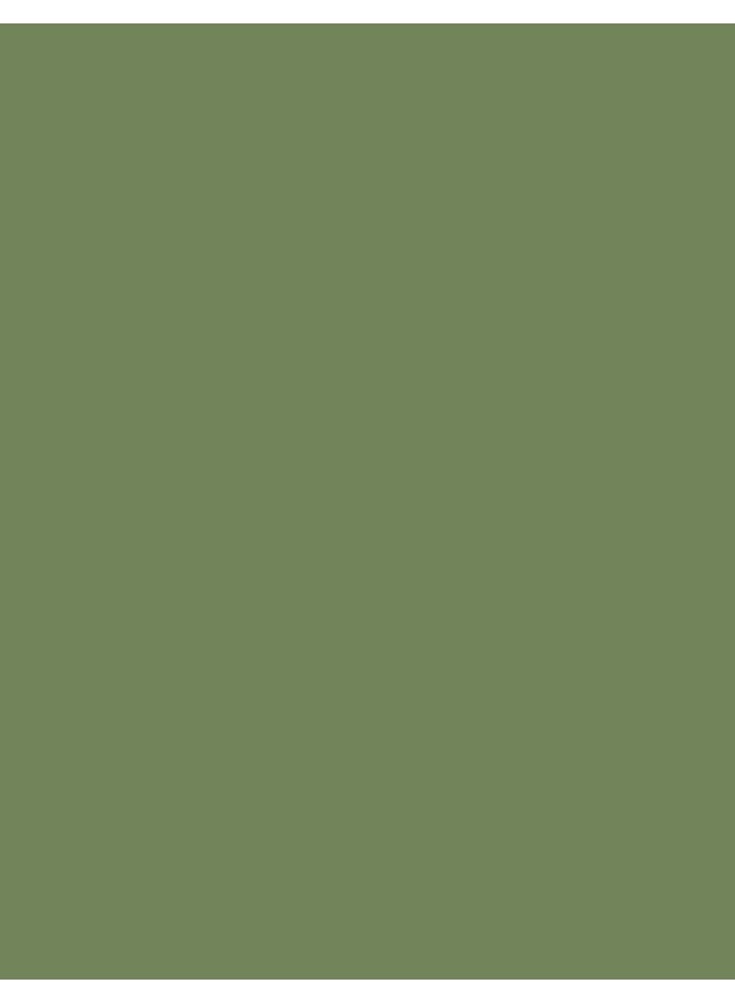 flormar Quick Dry Nail Enamel - 51 Cactus 51 Cactus - Image 3