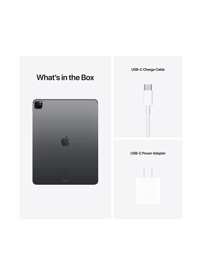 Renewed - iPad Pro 2021 (3rd Gen) 11-Inch 256GB 5G Wi-Fi Space Gray With Facetime - International Version