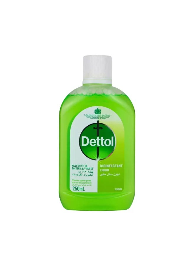 Dettol Disinfectant Liquid Effective Against Germs Green 250ml - Image 1