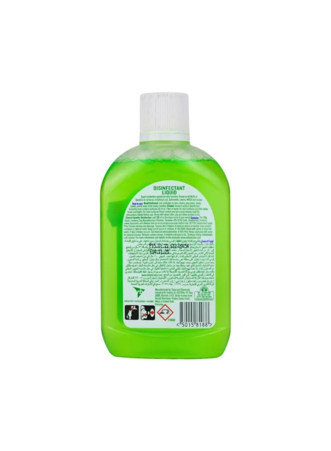 Dettol Disinfectant Liquid Effective Against Germs Green 250ml - Image 2