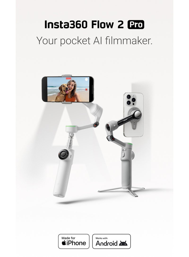Flow 2 Pro Summit White