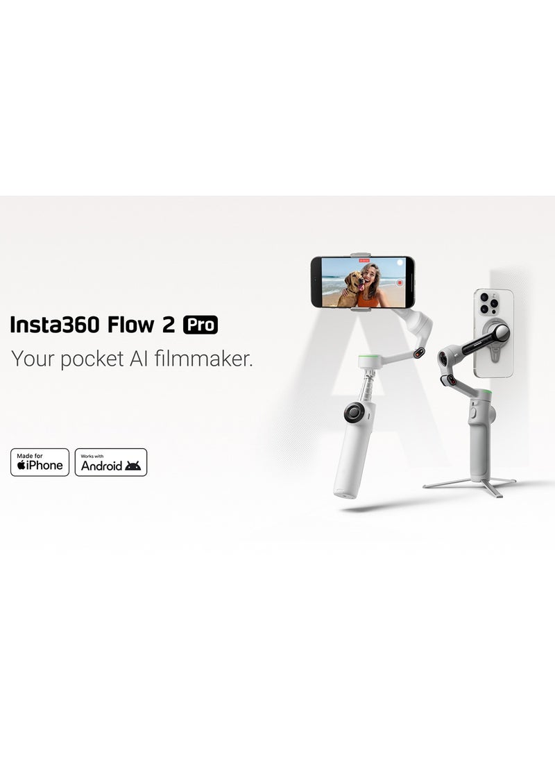 Flow 2 Pro Summit White