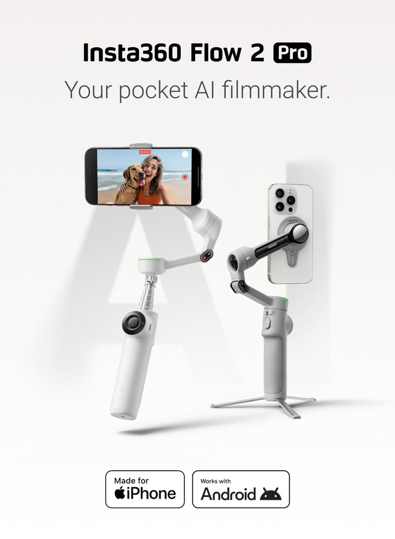 Flow 2 Pro Summit White