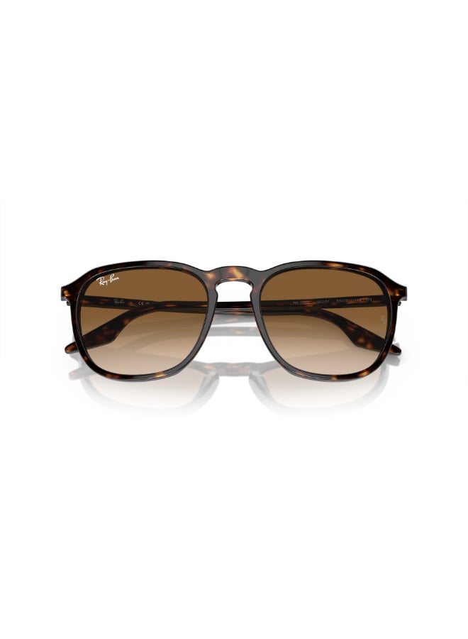 Ray-Ban RB2203 902/51 Unisex Full Rim Square Sunglasses - Lens Size: 52 mm  - Image 5