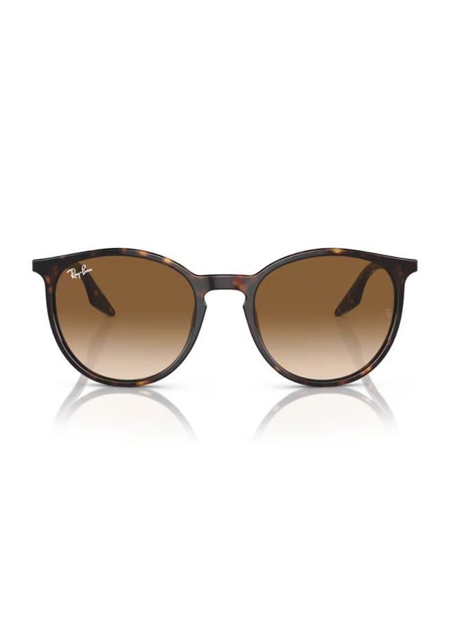 راي بان نظارات شمسية دائرية كاملة الإطار للرجال والنساء RB2204 902/51 - حجم العدسة: 51 مم - Image 3