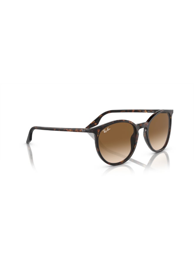 Ray-Ban RB2204 902/51 54 Unisex Full Rim Round Sunglasses - Lens Size: 54 mm  - Image 3