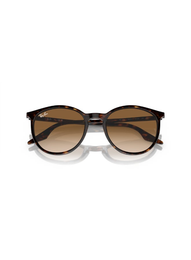 Ray-Ban RB2204 902/51 54 Unisex Full Rim Round Sunglasses - Lens Size: 54 mm  - Image 5