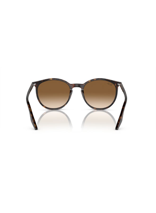 Ray-Ban RB2204 902/51 54 Unisex Full Rim Round Sunglasses - Lens Size: 54 mm  - Image 4