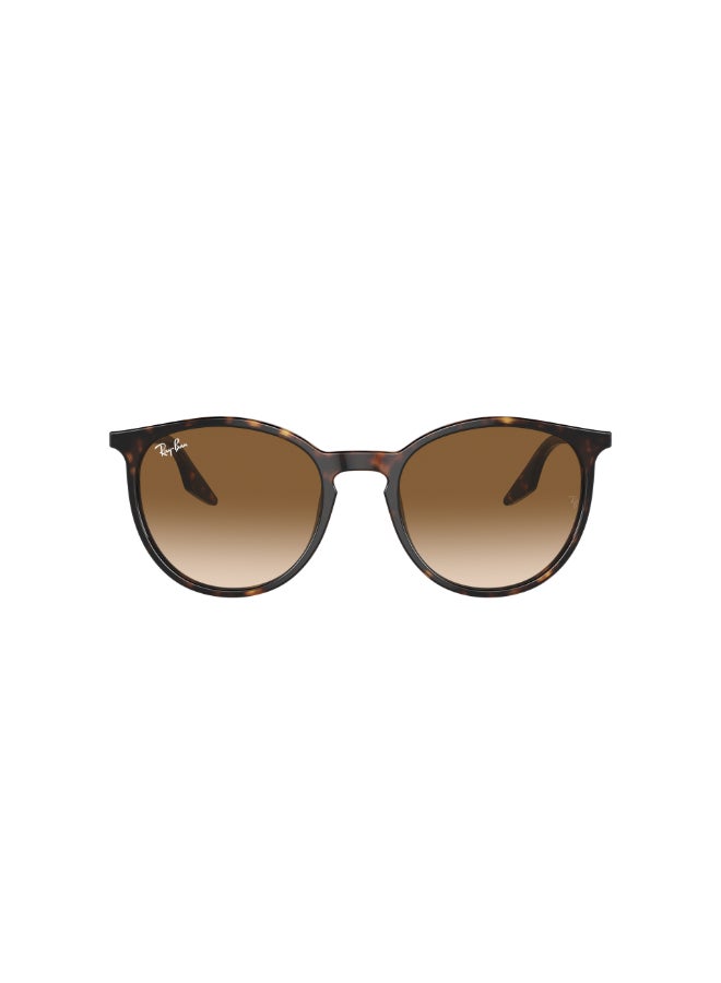 Ray-Ban RB2204 902/51 54 Unisex Full Rim Round Sunglasses - Lens Size: 54 mm  - Image 1
