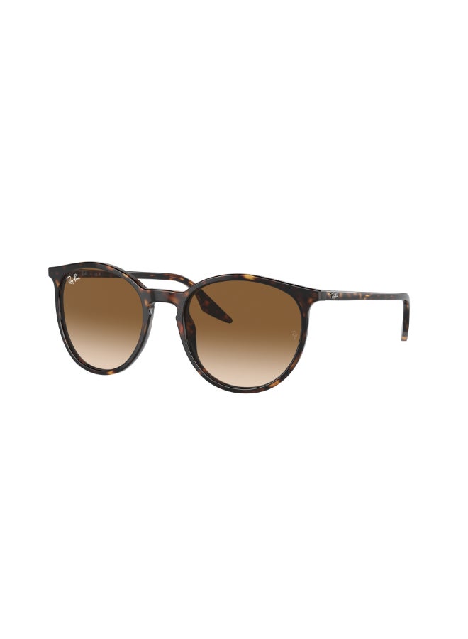 Ray-Ban RB2204 902/51 54 Unisex Full Rim Round Sunglasses - Lens Size: 54 mm  - Image 2