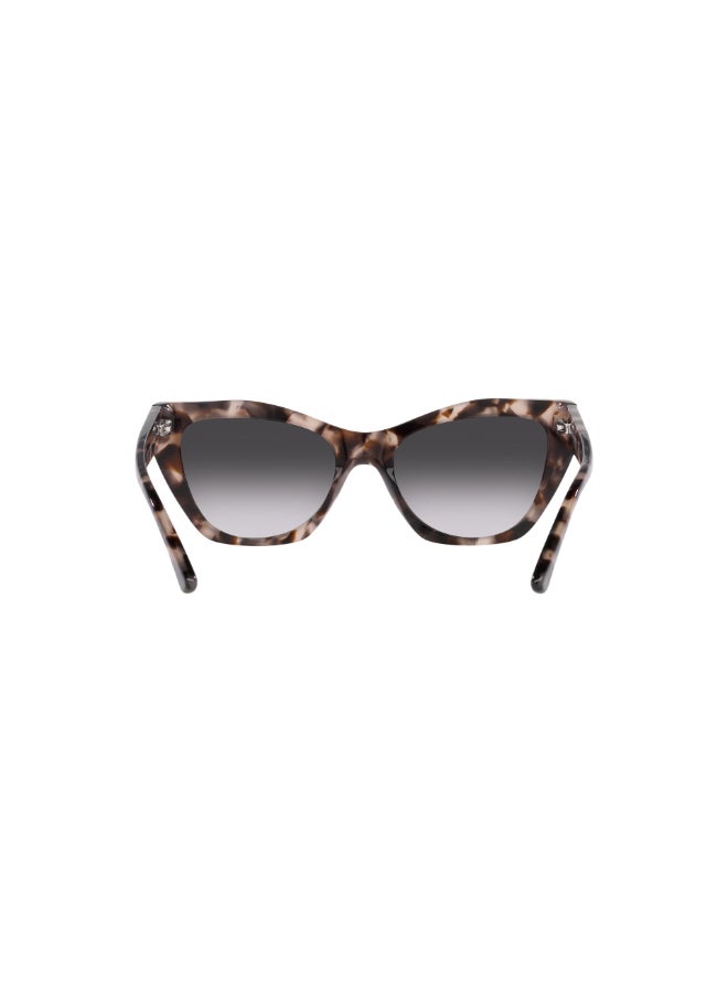 Girls' EA 4176 54108G Women's's Full Rim Cat Eye Sunglasses