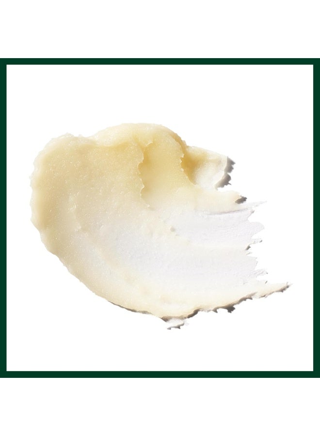 AVEDA Lip Saver Soothing Lip Balm | Moisturizing Lip Balm with Naturally Derived Cinnamon, Clove, Anise Oil - Image 3