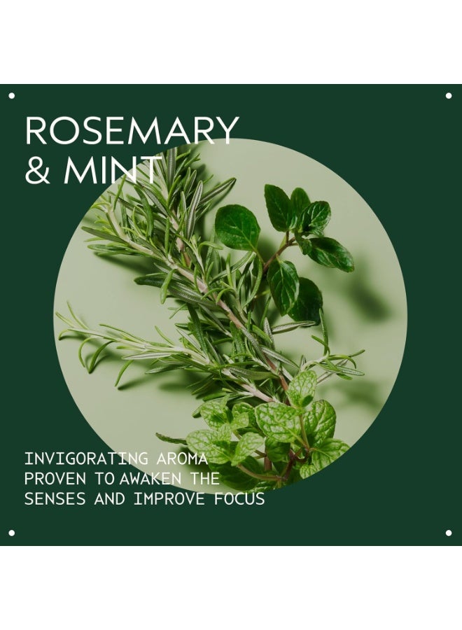 AVEDA Rosemary Mint Purifying Shampoo | Clarifying Shampoo | Adds Shine | For Normal To Oily Hair, Fine To Medium Hair Types | 97% Naturally Derived - Image 4