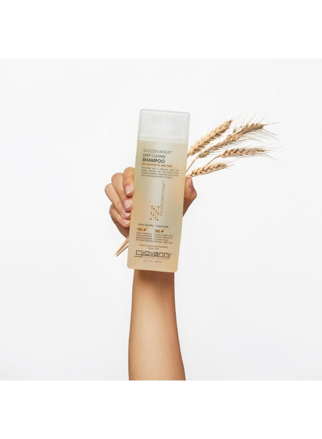 Giovanni ECO CHIC Golden Wheat Deep Cleanse Shampoo - Shampoo for Oily hair, Deep Cleansing With Botanical Oils, Helps Encourages Volume And Shine, Color Safe - Spearmint Oil + Aloe Vera, 8.5 oz  - Image 2