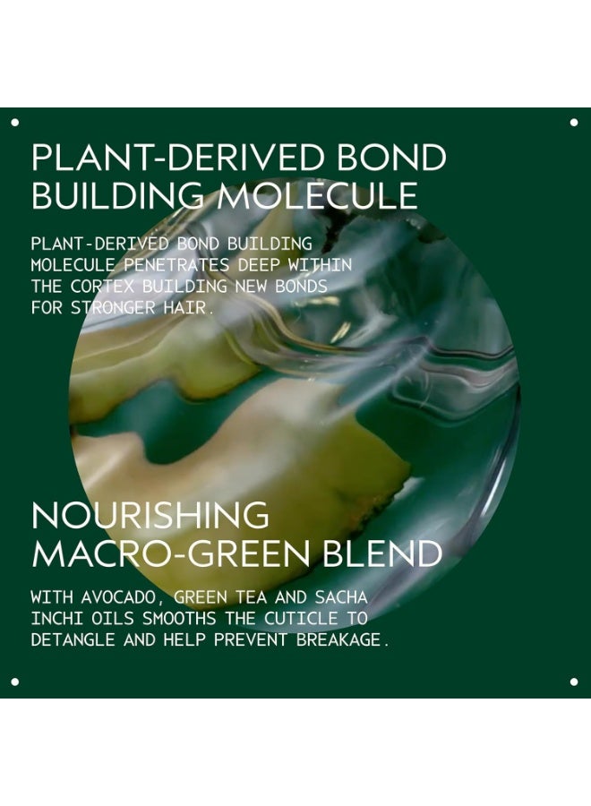 AVEDA Botanical Repair Strengthening Shampoo | Strengthens and Repairs Damaged Hair | Bond-Building Shampoo | 94% Naturally Derived* | Silicone Free - Image 2