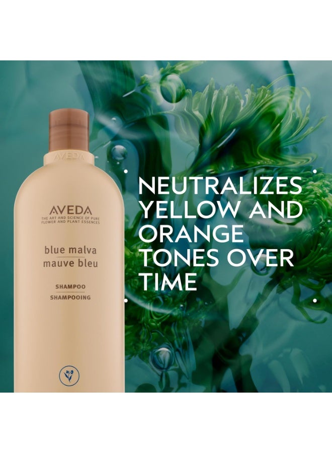 افيدا شامبو مالفا الأزرق | شامبو بنفسجي للشعر الرمادي والشعر الأشقر | يحيّد اللون النحاسي والنغمات الصفراء | حجم لتر | 33.8 أونصة سائلة - Image 3