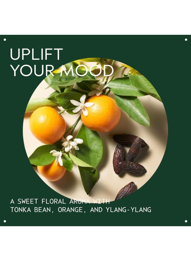 AVEDA Cherry Almond Softening Conditioner | for Normal to Dry Hair | 98% Naturally Derived* | with Coconut Oil & Shea Butter | Silicone Free | Iconic Aroma of Tonka, Orange, Ylang Ylang - Image 3