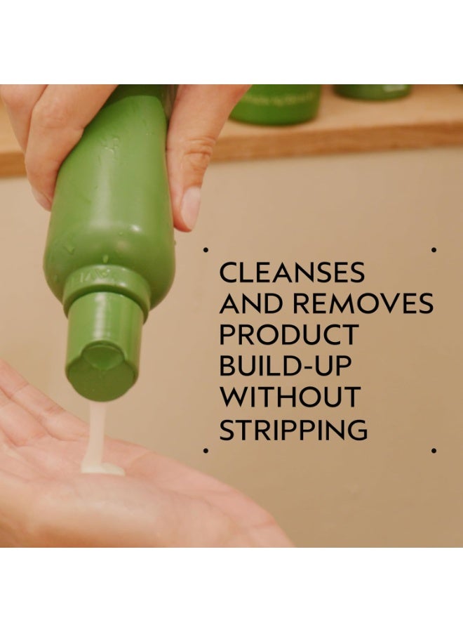 AVEDA Be Curly Advanced Shampoo | Moisturizing Shampoo for Curly, Coily, Wavy Hair | Fights Frizz | Sulfate Free, Silicone Free | 94% Naturally Derived - Image 2