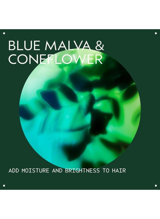 AVEDA Blue Malva Color Conditioner | Purple Conditioner for Silver, Gray, Blonde Hair | Neutralizes Brassiness | Deeply Conditions Hair 8.5 Fl Oz - Image 3